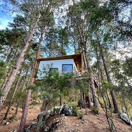 Casita Colgada "Can Lia" La Guancha Exterior photo